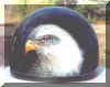 Eagle on helmet